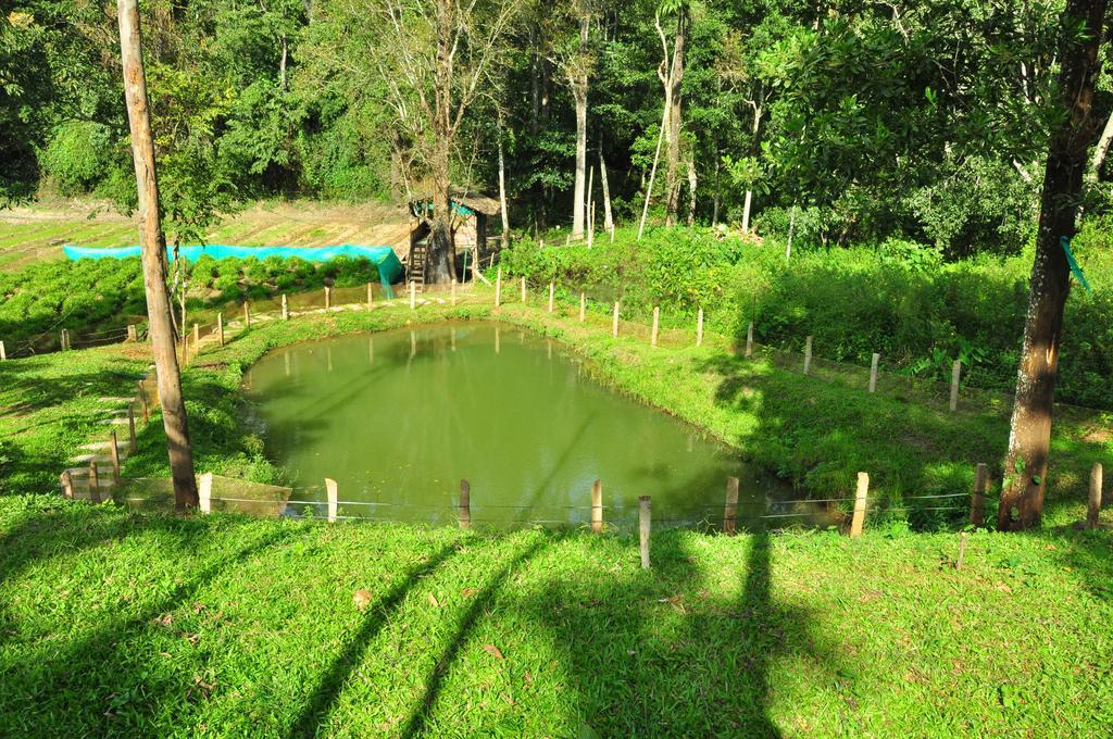 The Woods Resorts Wayanad Sultans Battery Exteriör bild