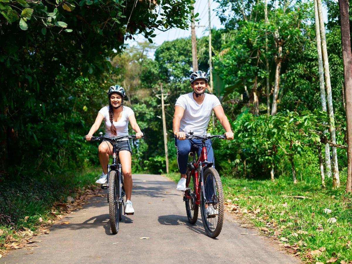 The Woods Resorts Wayanad Sultans Battery Exteriör bild